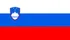 Drapeau Slov&eacute;nie