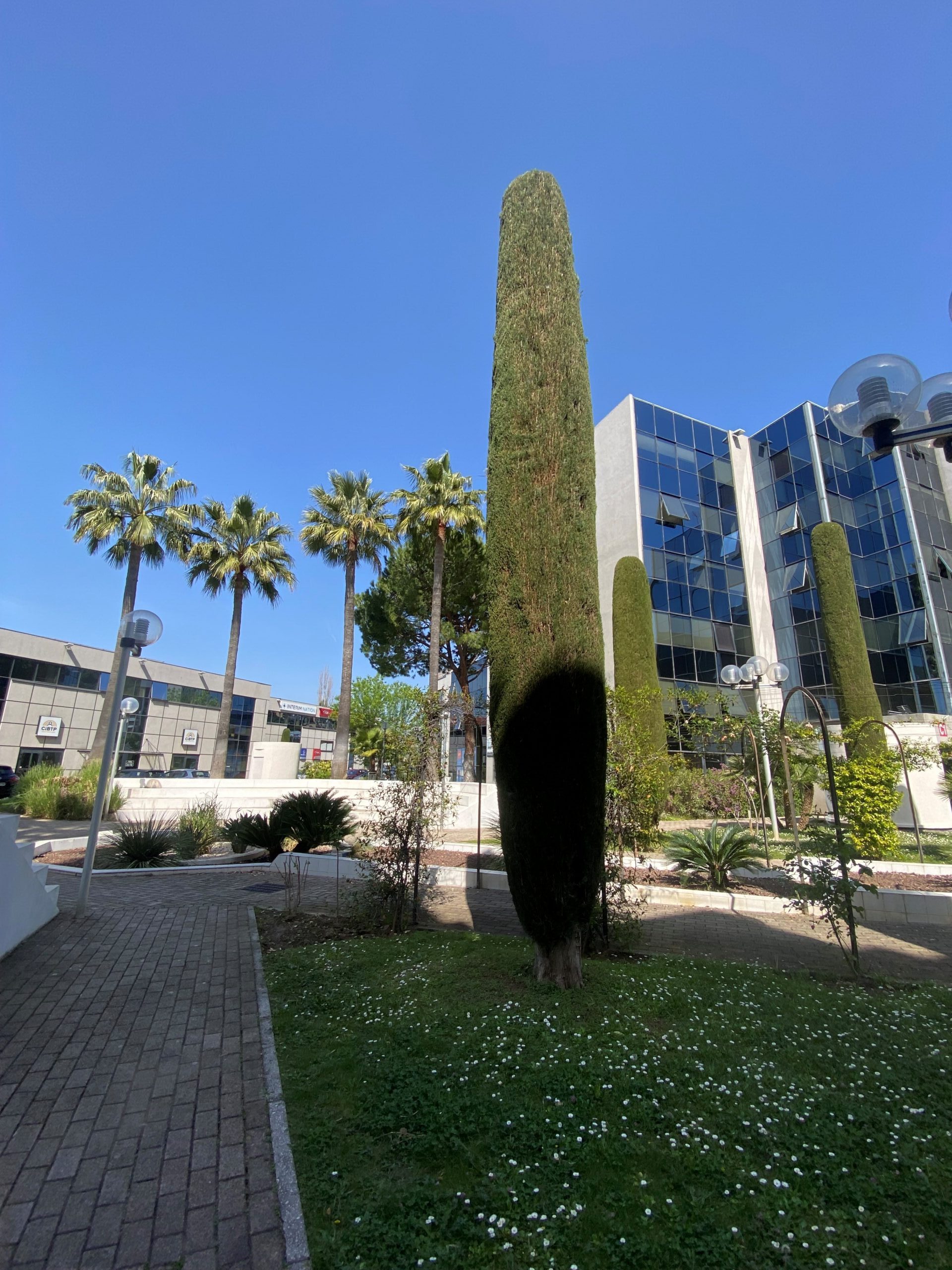 Mathez Compliance qui sommes nous